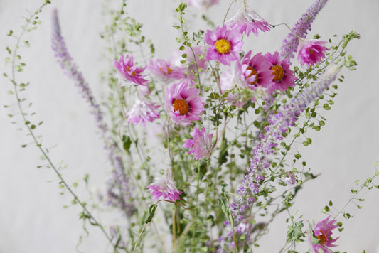 Pflegehinweise für Trockenblumen