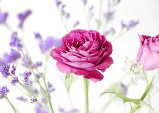 Florale Karten auf Recyclingpapier, Blumenkarten