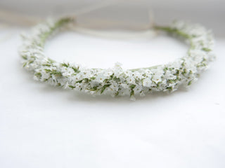 Haarkranz 'Limonium'