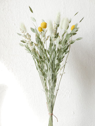 Dried flower mix 'Craspedia'