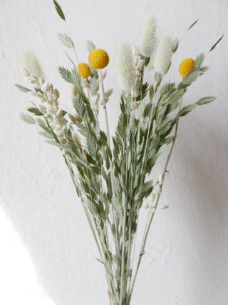 Dried flower mix 'Craspedia'