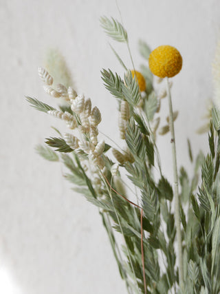 Dried flower mix 'Craspedia'