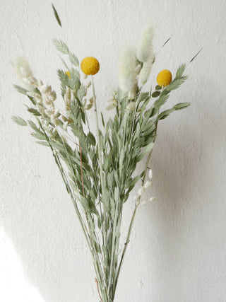 Dried flower mix 'Craspedia'