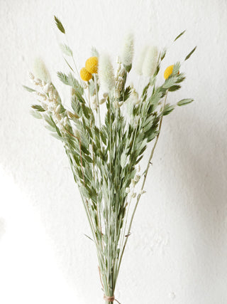 Dried flower mix 'Craspedia'