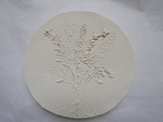 Botanical bas relief 'Solidago'