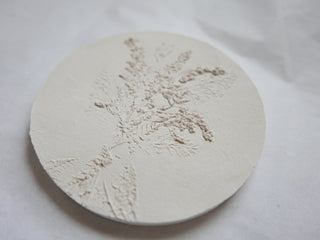 Botanical bas relief 'Solidago'