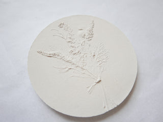 Botanical bas relief 'Papaver'