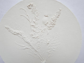 Botanical bas relief 'Papaver'