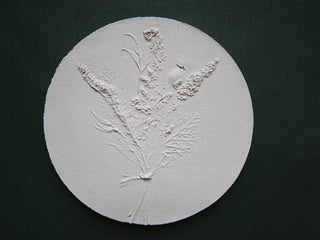 Botanical bas relief 'Papaver'