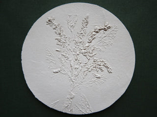 Botanical bas relief 'Solidago'