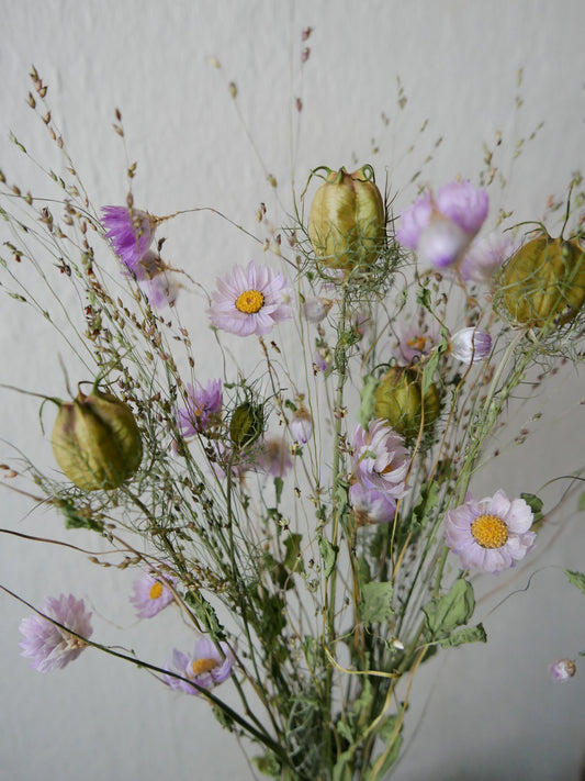 Trockenblumenmix 'Sonnenflügel, Nigella & Rutenhirse'