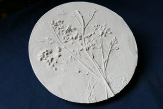 Botanical Bas Relief 'Japanese snow flower'