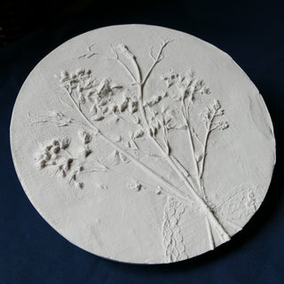 Botanical Bas Relief 'Japanese snow flower'