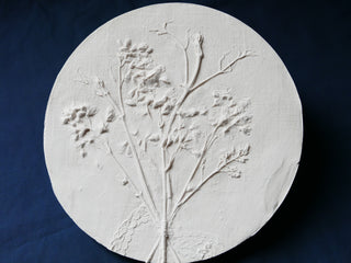 Botanical Bas Relief 'Japanese snow flower'
