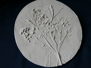 Botanical Bas Relief 'Japanese snow flower'