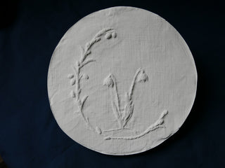 reliefbild märzenbecher botanical bas relief