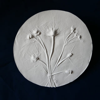 Botanical Bas Relief 'Papaver & Geum'