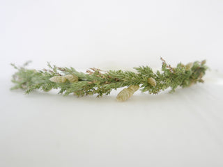 Flower crown 'Flower Meadow'