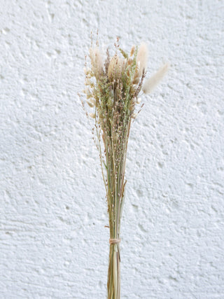 Trockenblumenmix 'Gräser'