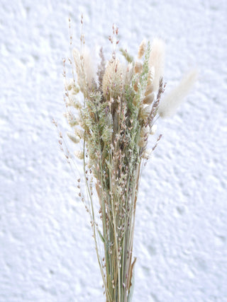 gräser getrocknet slowflowers