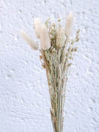 Trockenblumenmix 'Gräser'