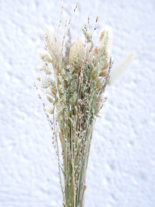 Trockenblumenmix 'Gräser'