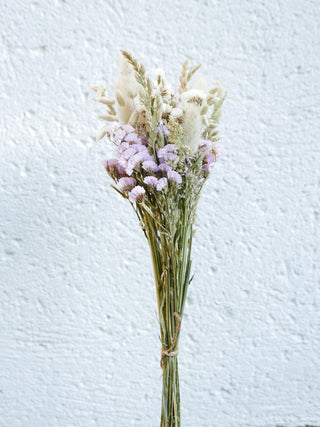 Trockenblumenmix 'Pastell'