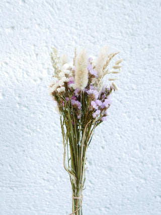 Trockenblumenmix 'Pastell'