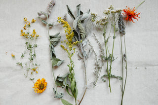 Smudge stick 'Mugwort'