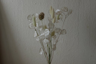 Kleiner Trockenblumenmix 'Lunaria' (Bio)