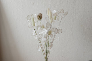 Kleiner Trockenblumenmix 'Lunaria' (Bio)