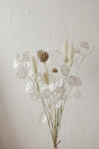 Kleiner Trockenblumenmix 'Lunaria' (Bio)