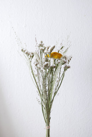Trockenblumenmix 'Achillea' (bio)