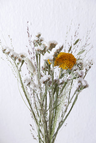 Trockenblumenmix 'Achillea' (bio)