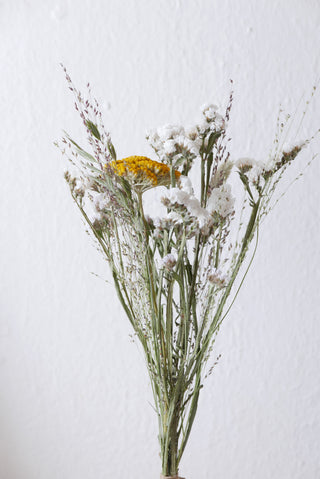 Trockenblumenmix 'Achillea' (bio)