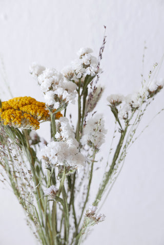 Trockenblumenmix 'Achillea' (bio)