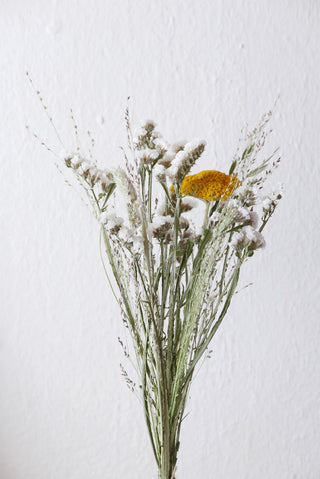 Trockenblumenmix 'Achillea' (bio)