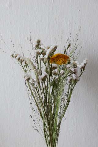 Trockenblumen bio Leipzig slowflowers Schafgarbe gelb