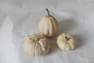 3 weiße, kleine Zierkürbisse (Bio)