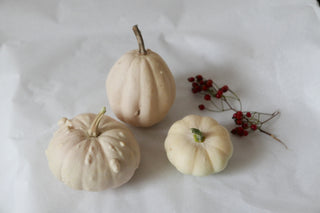 3 weiße, kleine Zierkürbisse (Bio)