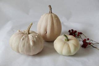 3 weiße, kleine Zierkürbisse (Bio)