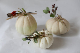 herbstdeko biozierkürbis slow flowers hagebutten