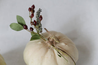3 white ornamental pumpkins with dried flowers