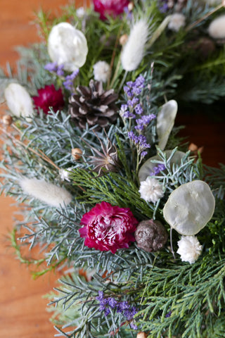 Winterkranz 'Purple' (Bio-Pflanzen)