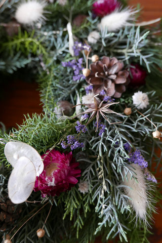 Winterkranz 'Purple' (Bio-Pflanzen)