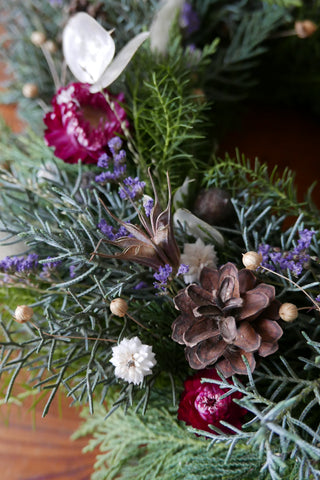 Winterkranz 'Purple' (Bio-Pflanzen)