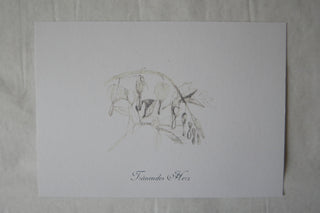 Postkarte 'Tränendes Herz'