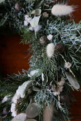 Winterkranz 'Schneeweißchen' (Bio-Pflanzen)