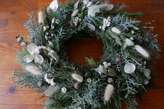 Winterkranz 'Schneeweißchen' (Bio-Pflanzen)