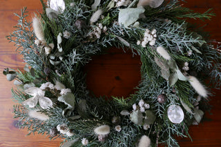 Winterkranz 'Schneeweißchen' (Bio-Pflanzen)